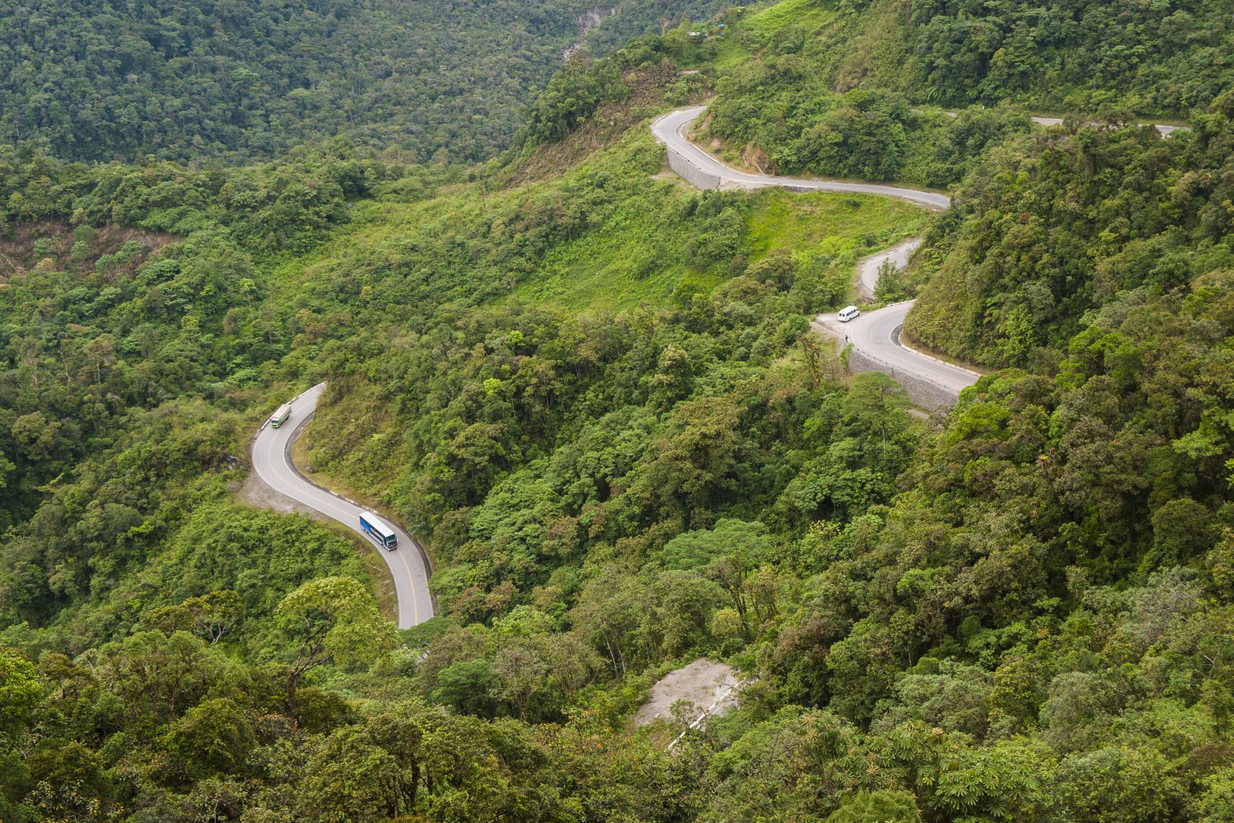 Ocho áreas protegidas de Perú destacan en el Top 100 de destinos sostenibles del mundo. En la imagen, Bosque de Protección Alto Mayo de San Martín – Amazonas – Loreto.
Foto: Mincetur