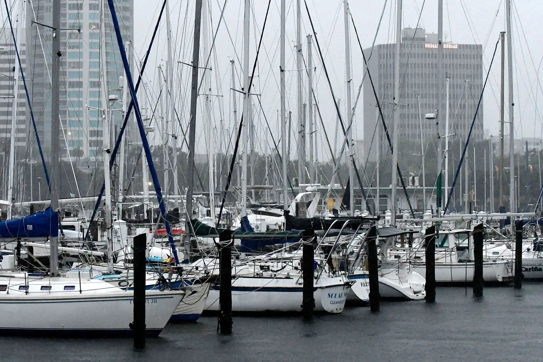 Vista general de los barcos en el muelle de St. Pete cuando llegan los primeros vientos del huracán Ian en San Petersburgo, Florida. Foto: AFP