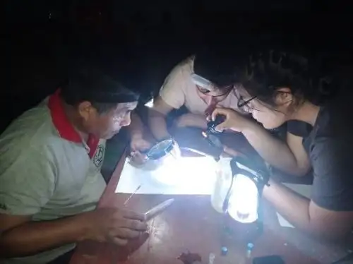 Investigadores de la Universidad Nacional Toribio Rodríguez de Mendoza, liderados por Stella Chanet, identificaron a un nuevo vector transmisor de la malaria en la región Amazonas. ANDINA/Difusión