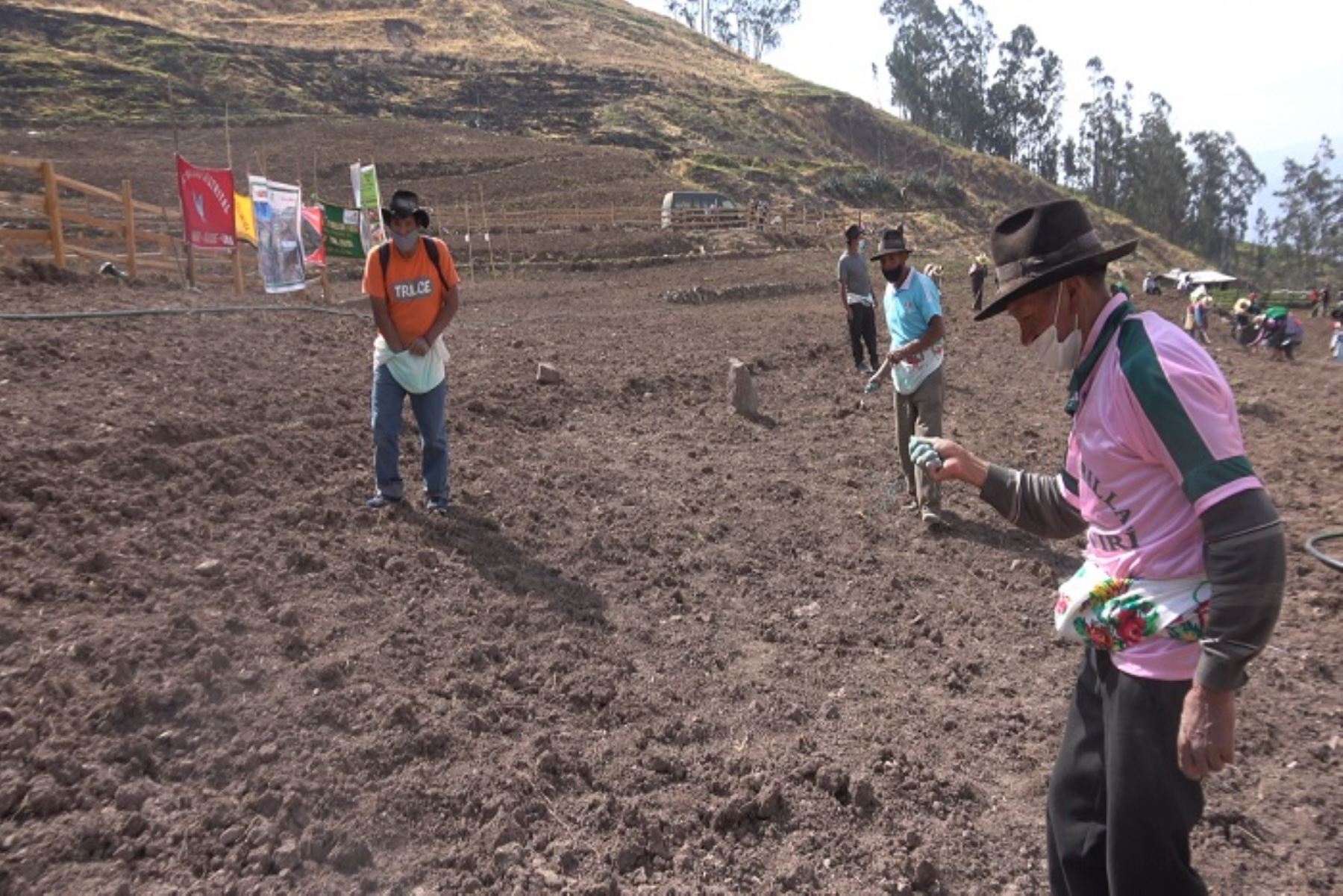 Cajamarca: instalarán más de 2,300 has de conservación de forraje para alimento de ganado