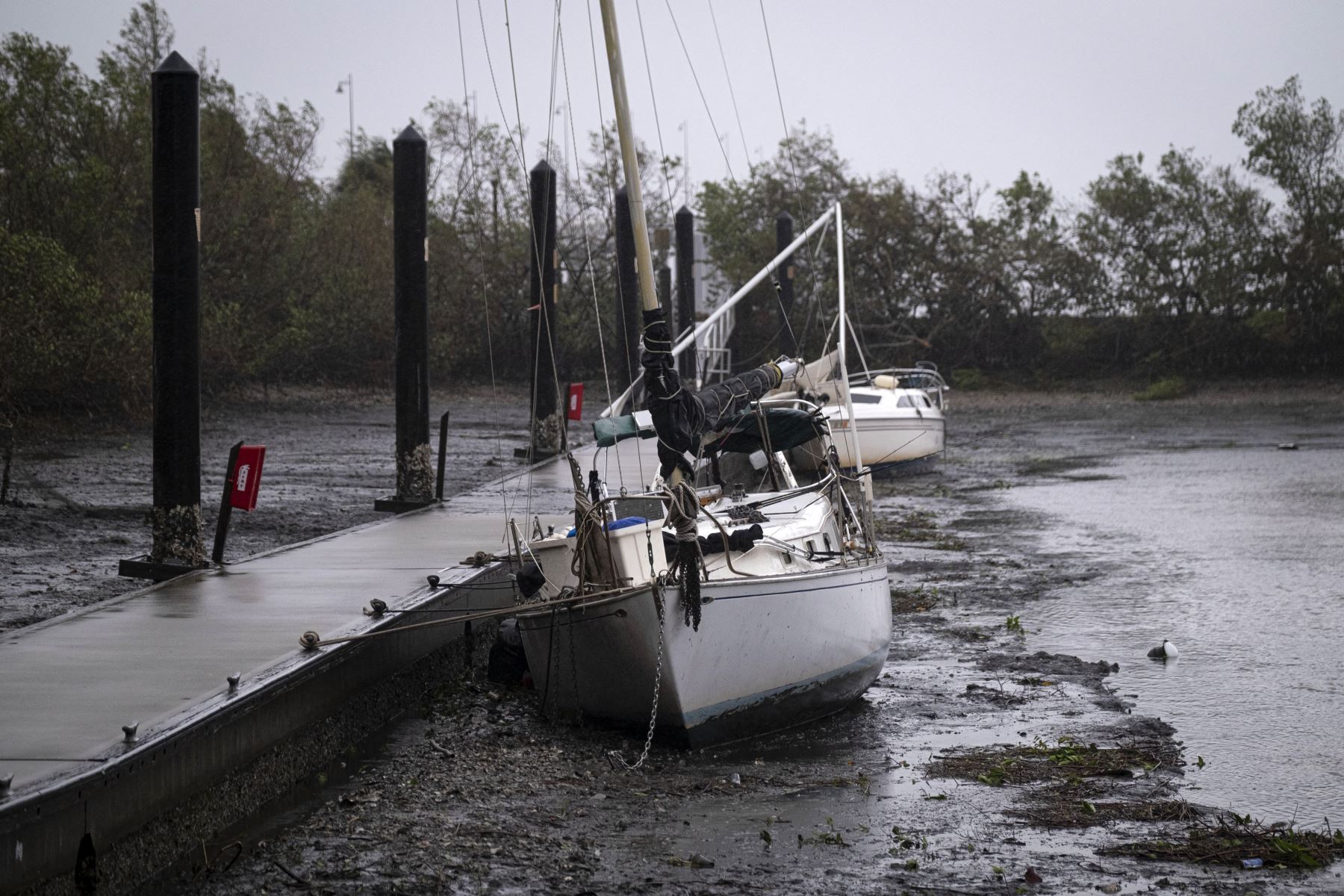 Barcos de vela se encuentran en el fondo del puerto de Charlotte durante un retiro de la marea cuando el ojo del huracán Ian pasa por Punta Gorda, Florida.
Foto: AFP