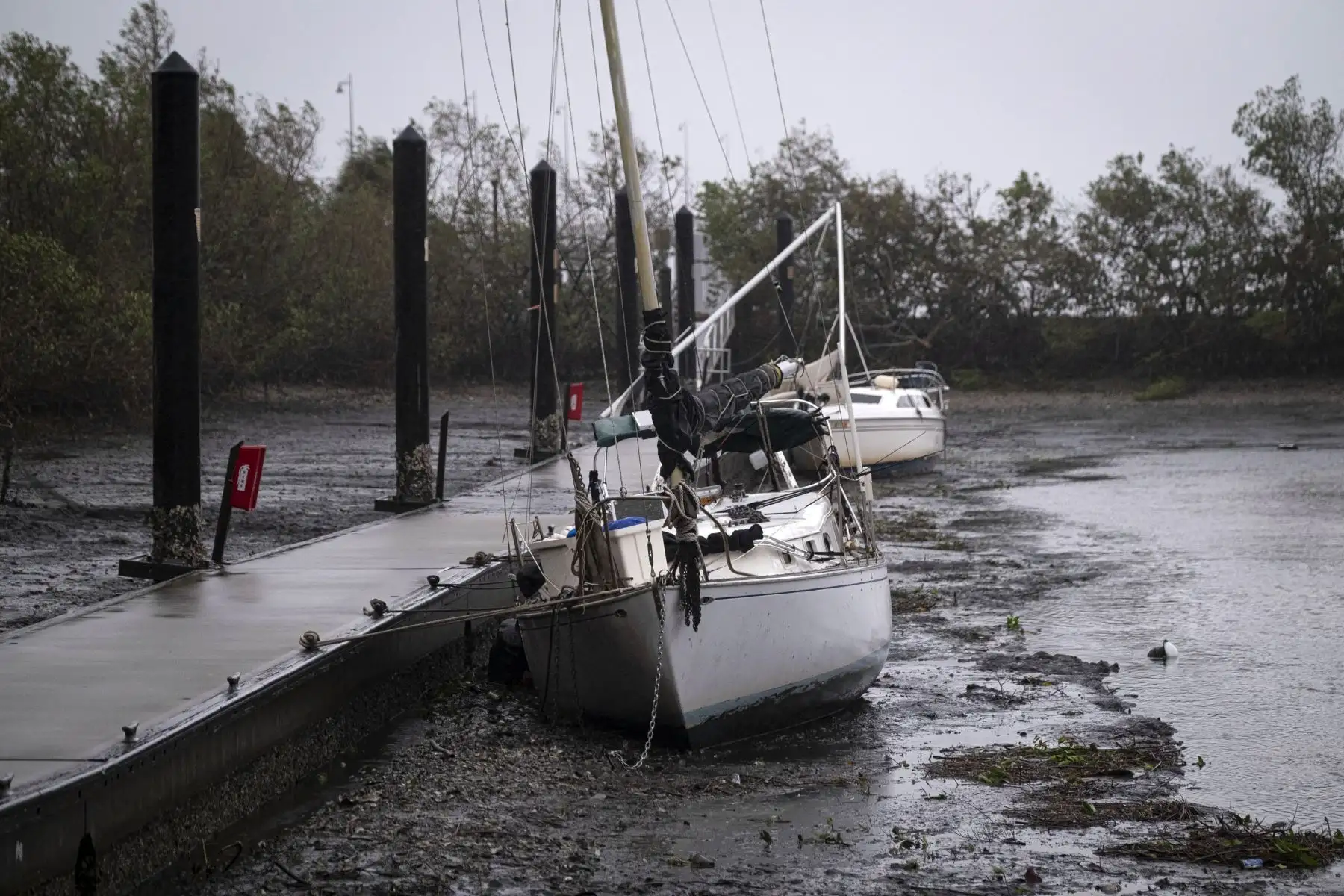 Barcos de vela se encuentran en el fondo del puerto de Charlotte durante un retiro de la marea cuando el ojo del huracán Ian pasa por Punta Gorda, Florida.
Foto: AFP