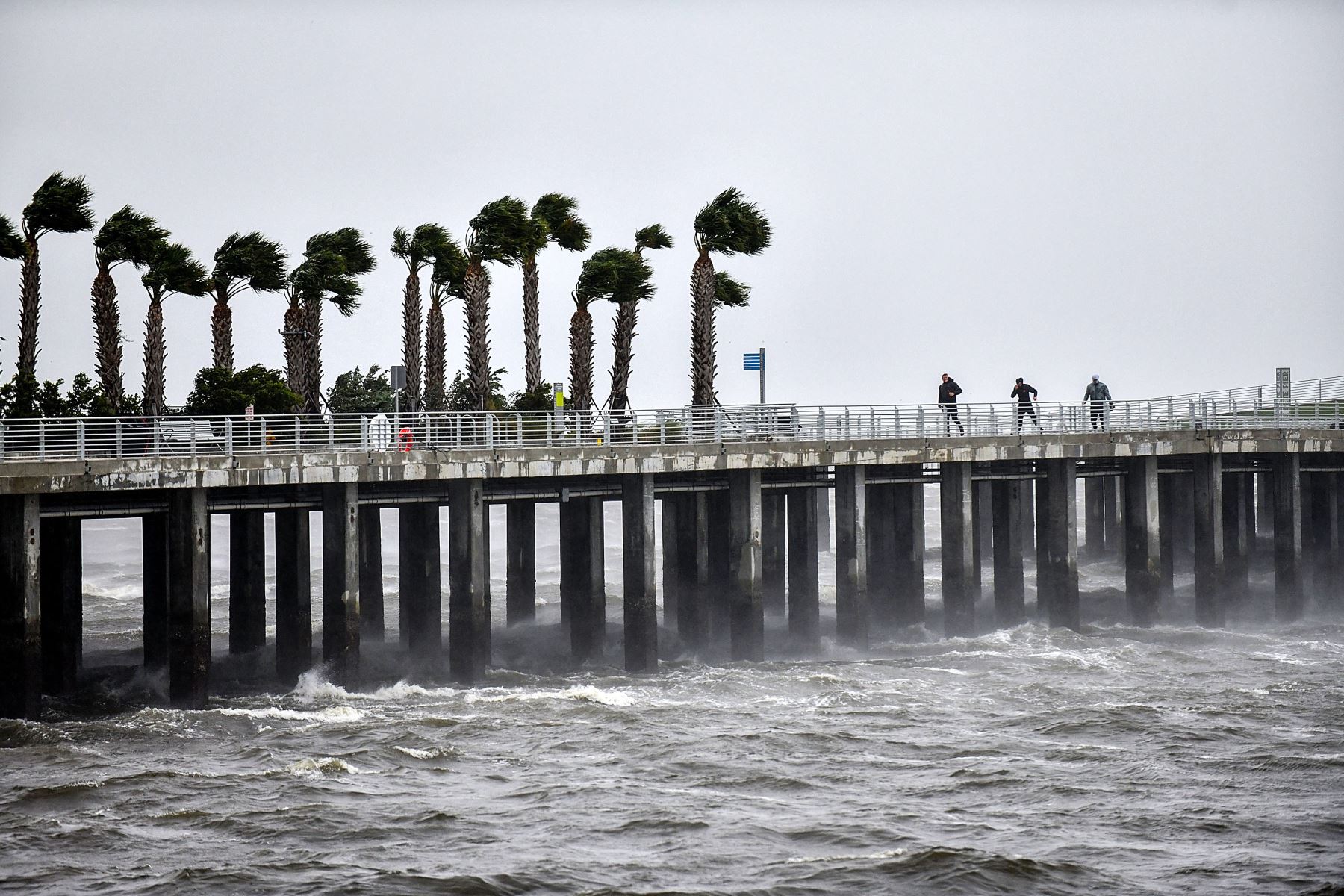 Los residentes locales caminan en medio de la lluvia y el fuerte viento en el muelle de St. Pete cuando el huracán Ian golpea la costa oeste  en San Petersburgo, Florida. 
Foto: AFP