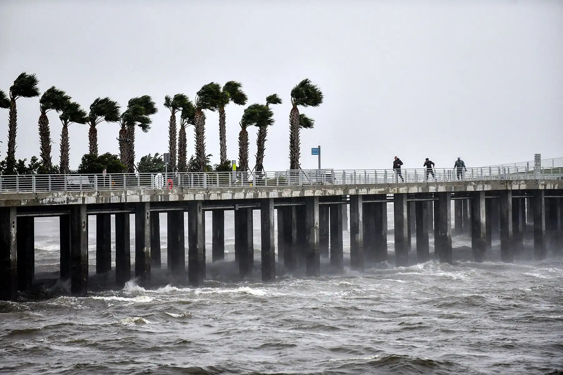 Los residentes locales caminan en medio de la lluvia y el fuerte viento en el muelle de St. Pete cuando el huracán Ian golpea la costa oeste  en San Petersburgo, Florida. 
Foto: AFP
