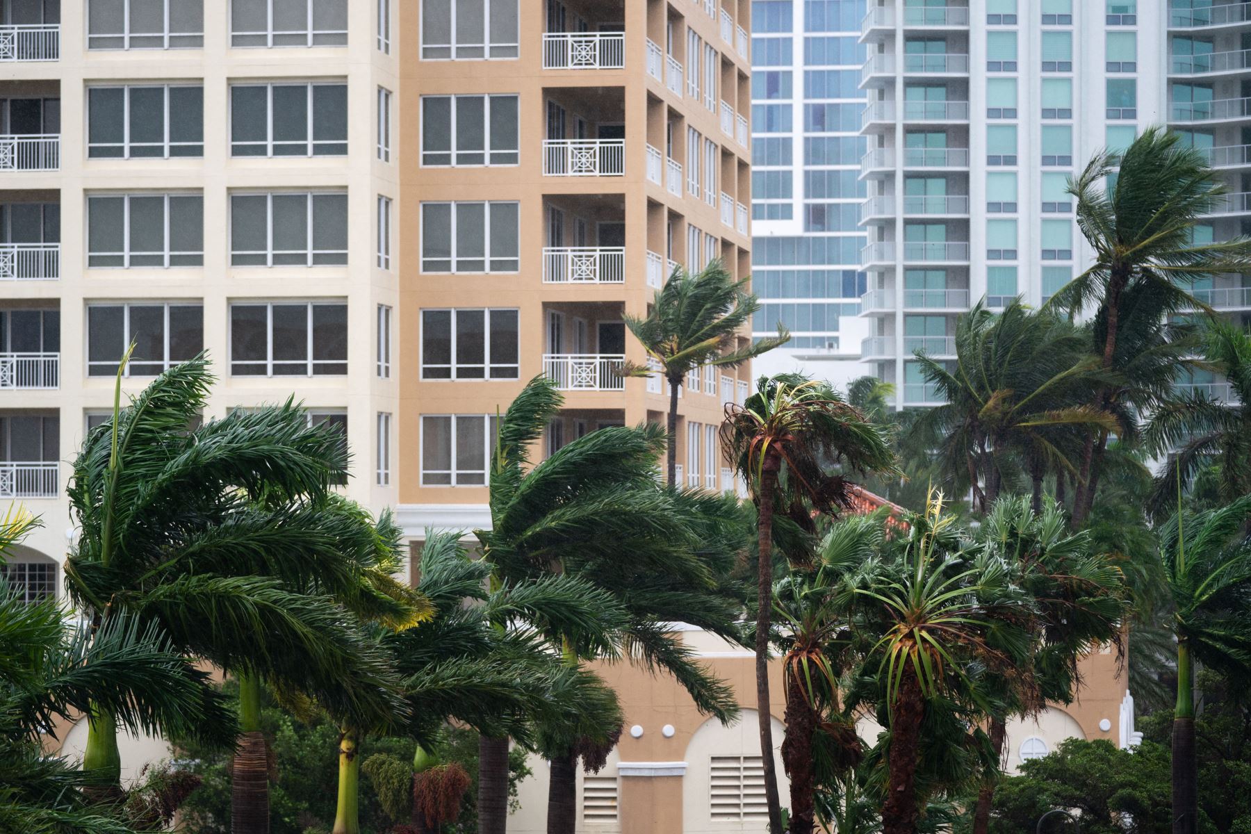 Las ráfagas de viento soplan entre condominios mientras el huracán Ian avanza hacia el sur  en Sarasota, Florida. La tormenta tocó tierra en los Estados Unidos en Cayo Costa, Florida esta tarde como un huracán de categoría 4 con velocidades de viento de más de 140 millas por hora en algunas áreas. 
Foto: AFP
