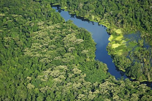 Campo Verde se convierte en la segunda área de conservación privada de la región Ucayali.