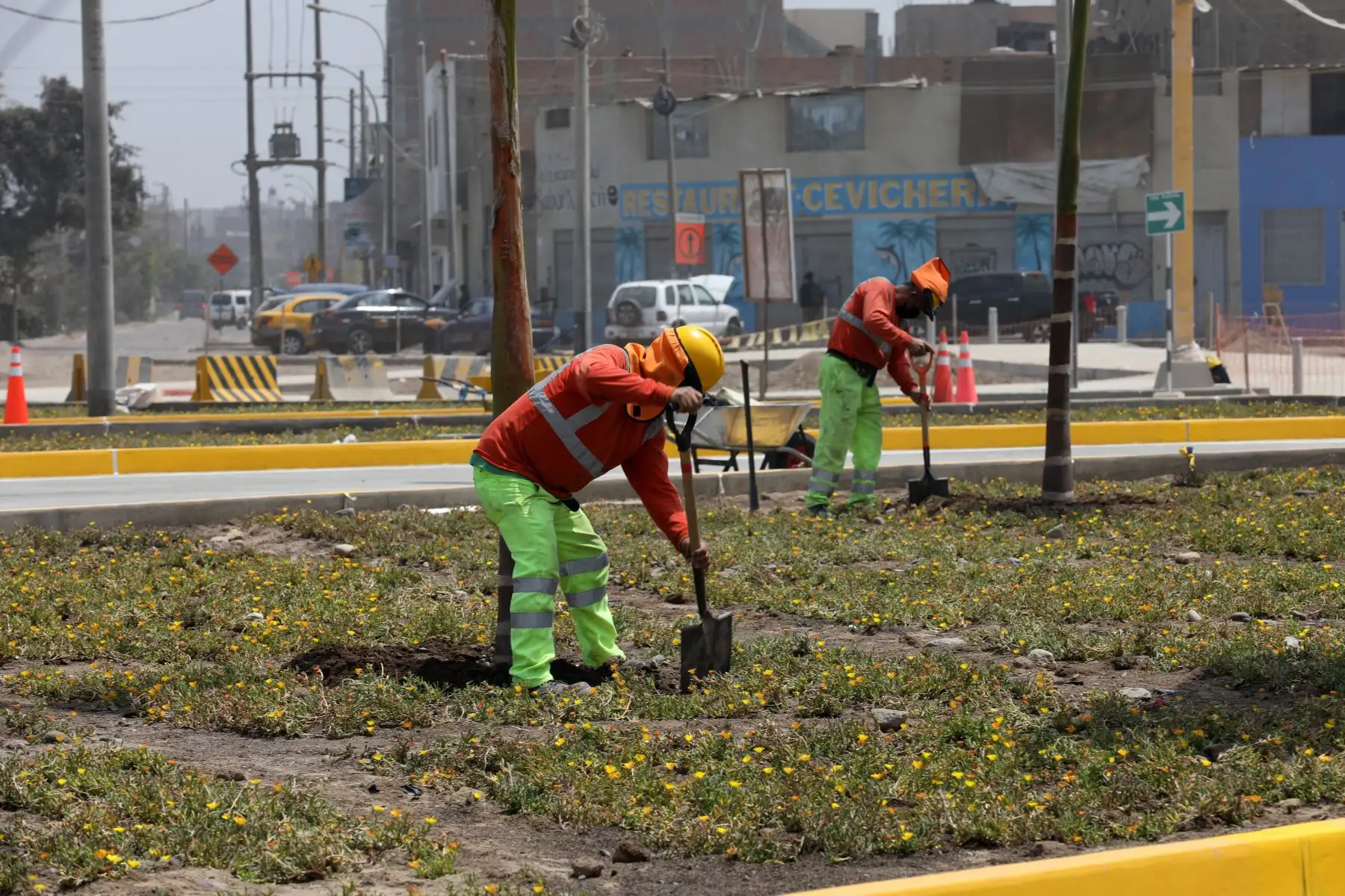 La obra, que cuenta con un 90% de avance, también contempla la repotenciación de una planta de tratamiento de aguas residuales en Carabayllo, el mantenimiento de pistas, más iluminación, cámaras de vigilancia, semaforización, señalización e implementación de riego tecnificado.
Foto: ANDINA/MML