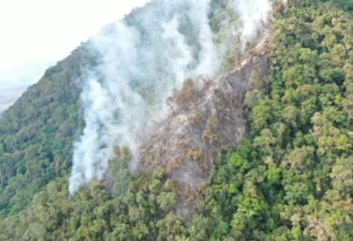 La rápida y oportuna intervención de la brigada de guardaparques bomberos forestales del Servicio Nacional de Áreas Naturales Protegidas por el Estado (Sernanp), organismo adscrito al Ministerio del Ambiente, permitió liquidar un incendio forestal registrado en la zona cercana al Parque Nacional Cordillera Azul, en la región Huánuco.