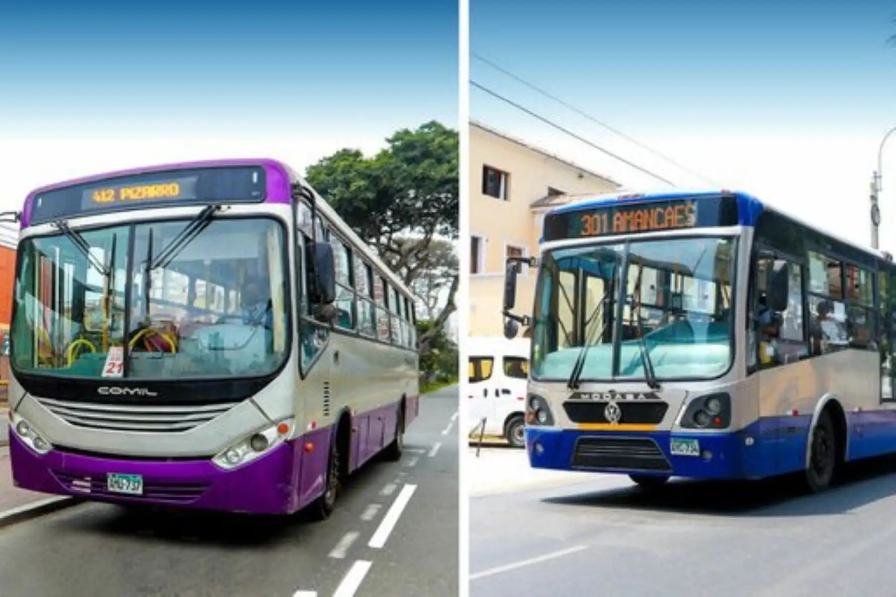 Buses de de transporte público que te acercarán a la procesión del Señor de los Milagros. Foto: ANDINA/Difusión.