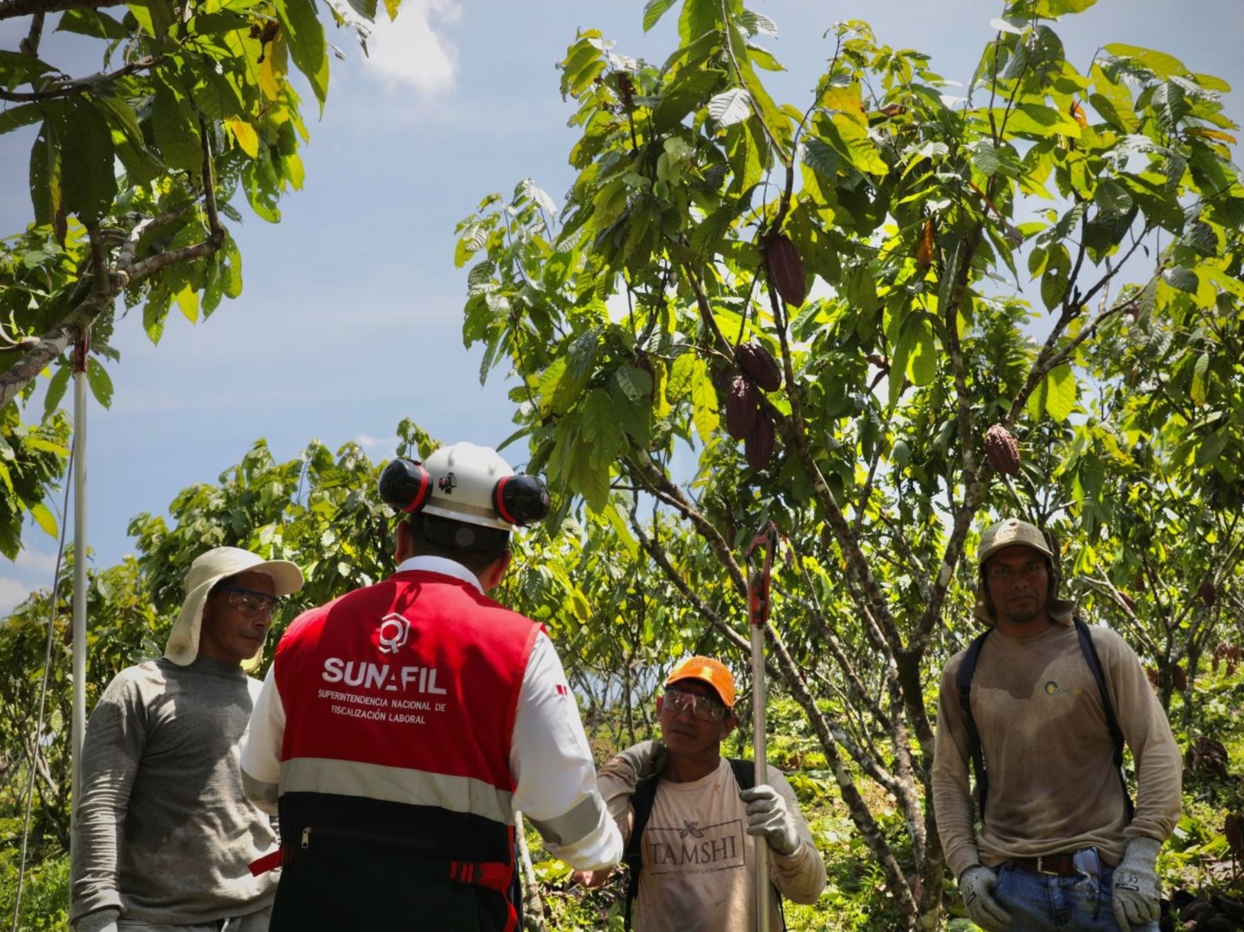 Inspector de la Sunafil brinda orientación a trabajadores agropecuarios. Foto: ANDINA/difusión.