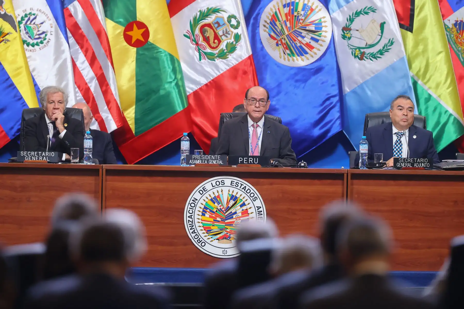 Con la participación de las delegaciones integrantes de la OEA se dio inicio a la primera sesión plenaria en donde el canciller, César Landa, fue elegido para presidir la reunión en representación del Perú.

Foto: ANDINA/Andrés Valle