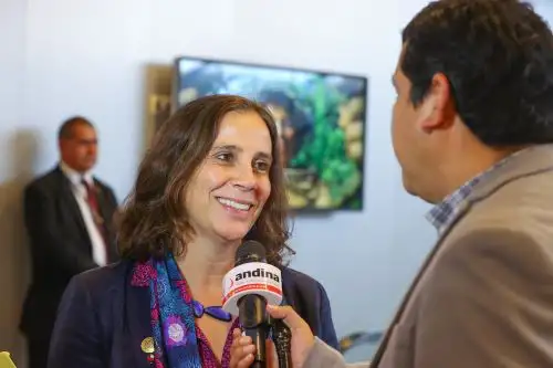 Foto: ANDINA/Andrés Valle.