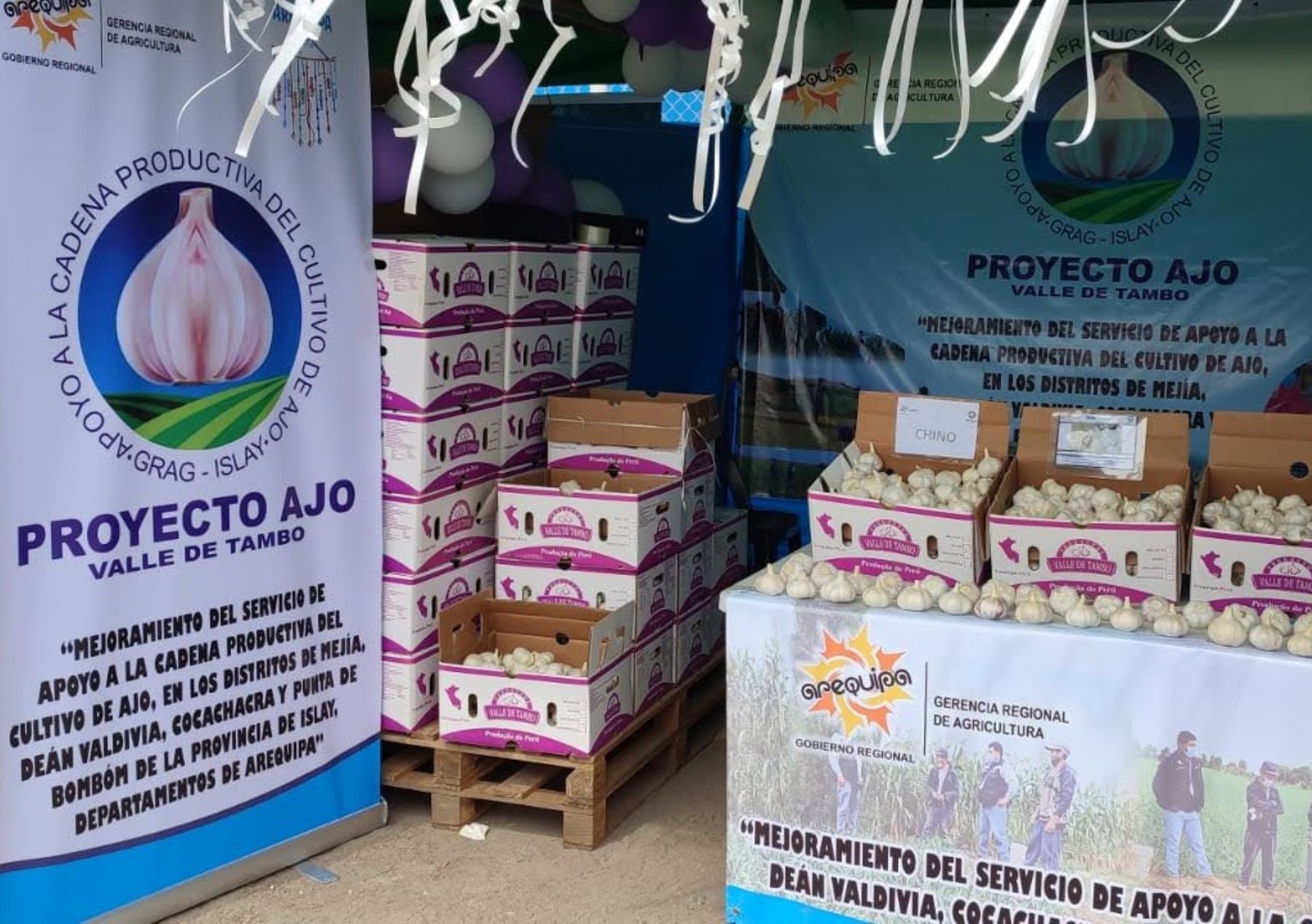 Productores del valle de Tambo, región Arequipa, lograron exportar 35 toneladas de ajo a México, uno de los principales mercados de destino de este producto. ANDINA/Difusión