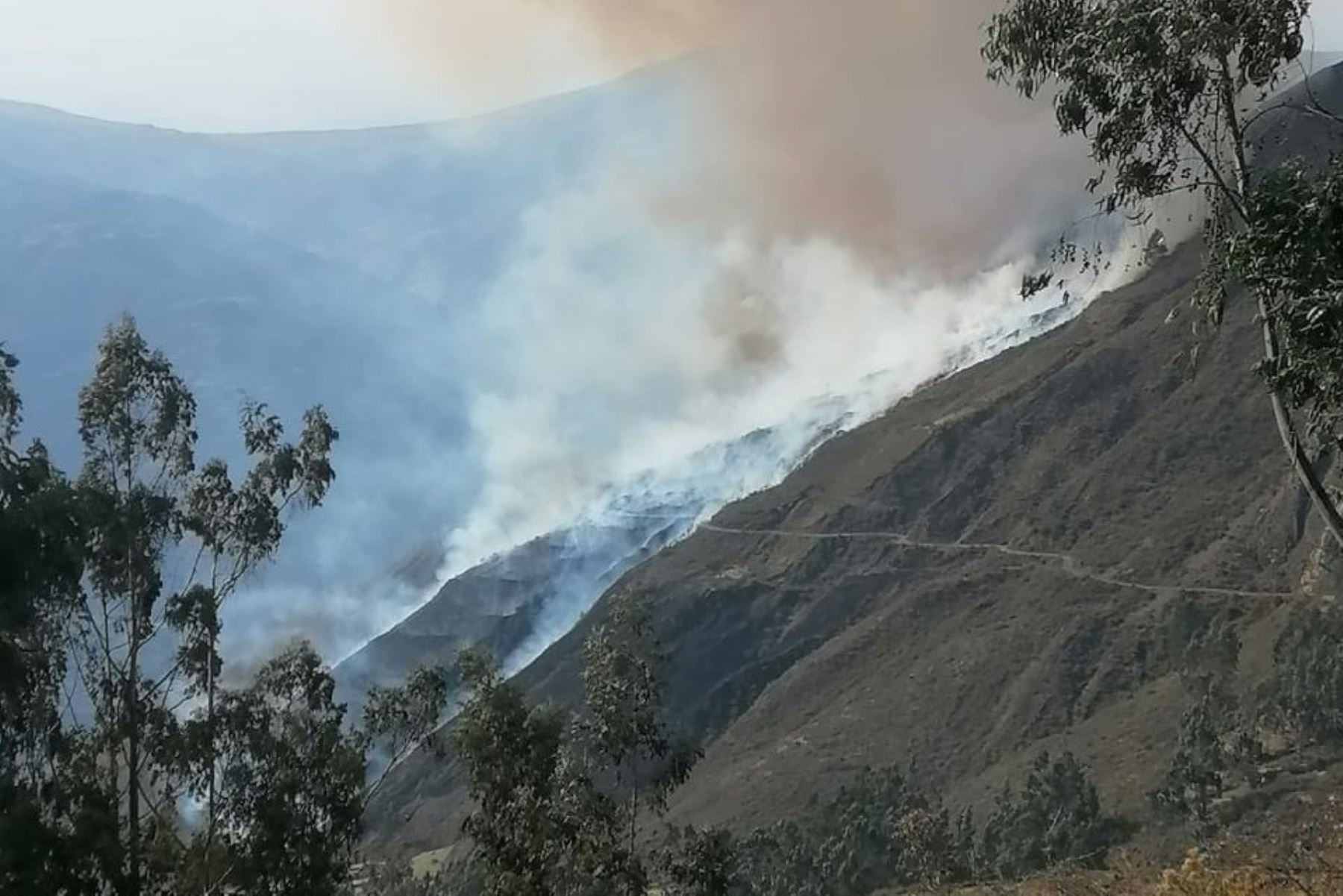 Reportan nuevo incendio forestal en la región Áncash. Foto: COER/Difusión.