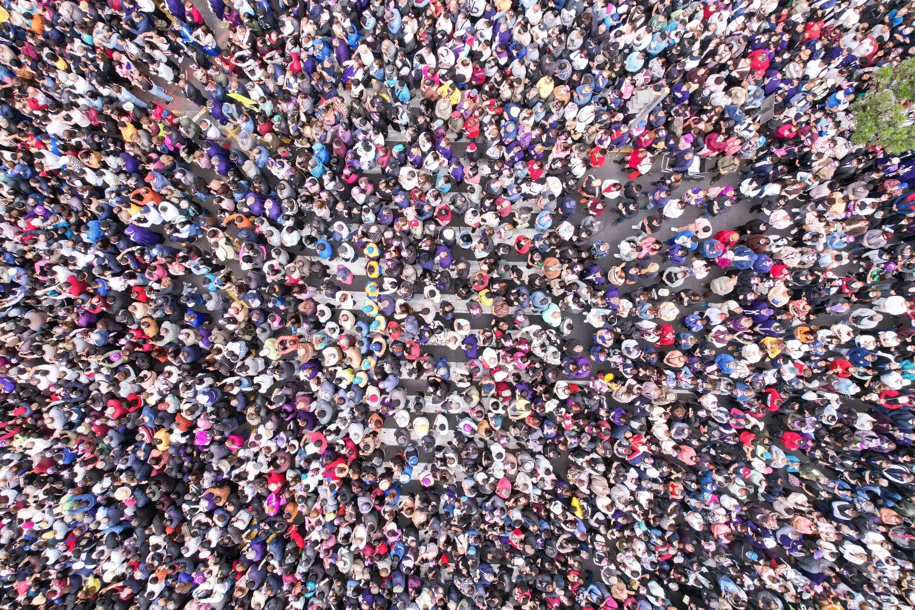 Imagen del Señor de los Milagros recorre nuevamente las calles de Lima tras más de dos años de pandemia. Foto: ANDINA/Renato Pajuelo
