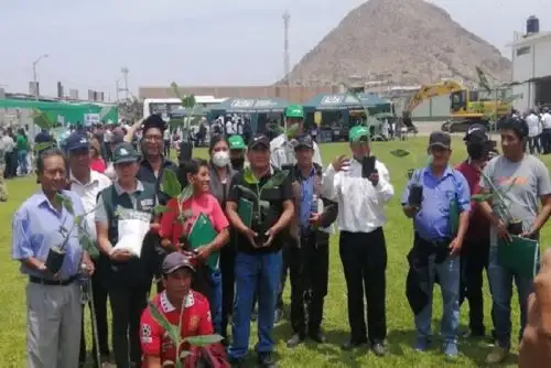 La Libertad: entregan plantones frutales y forestales a más de 100 productores.