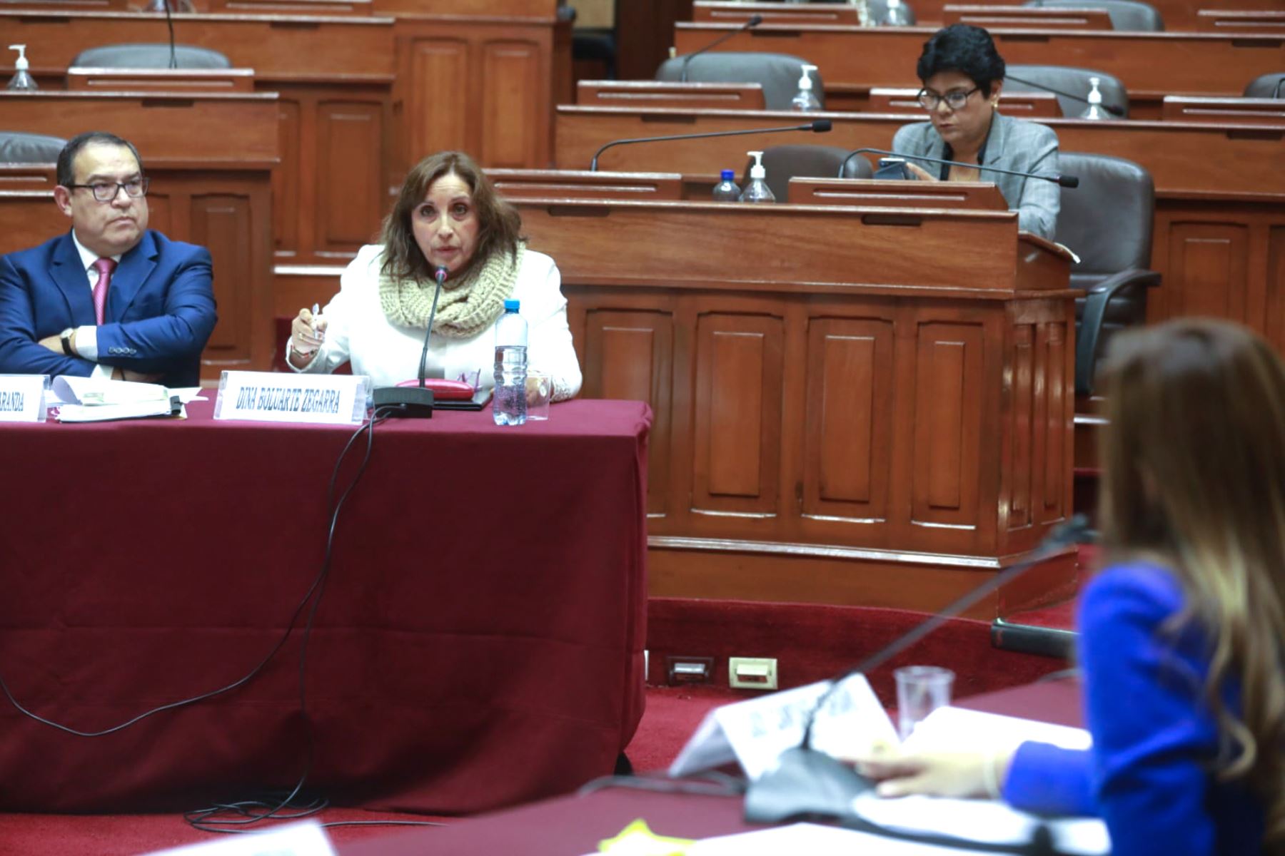 Vicepresidenta de la República, Dina Boluarte. Foto: Congreso