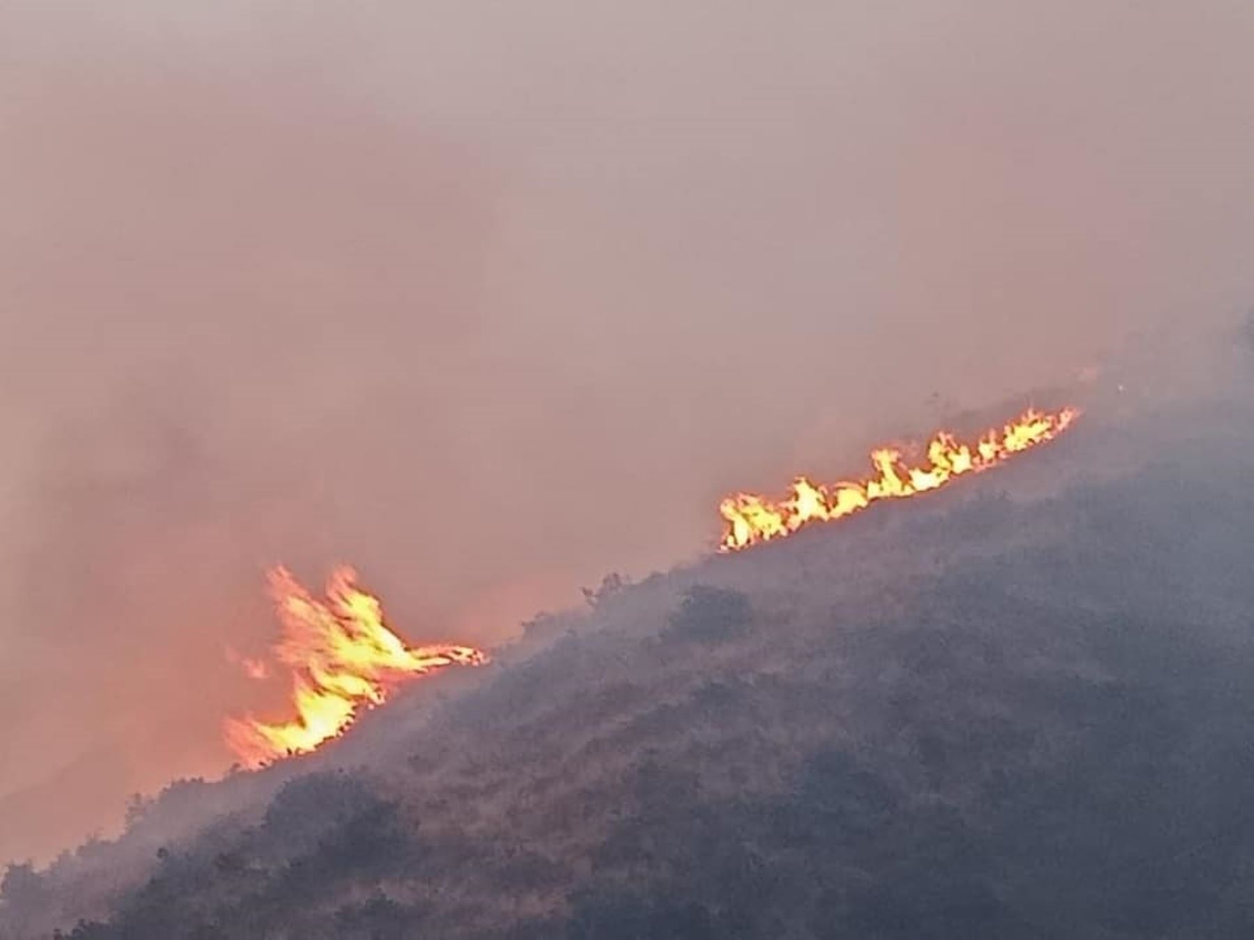 Cusco en alerta por incendio forestal de grandes proporciones que se registra en estos momentos en el distrito de San Sebastián. Foto: ANDINA/difusión.
