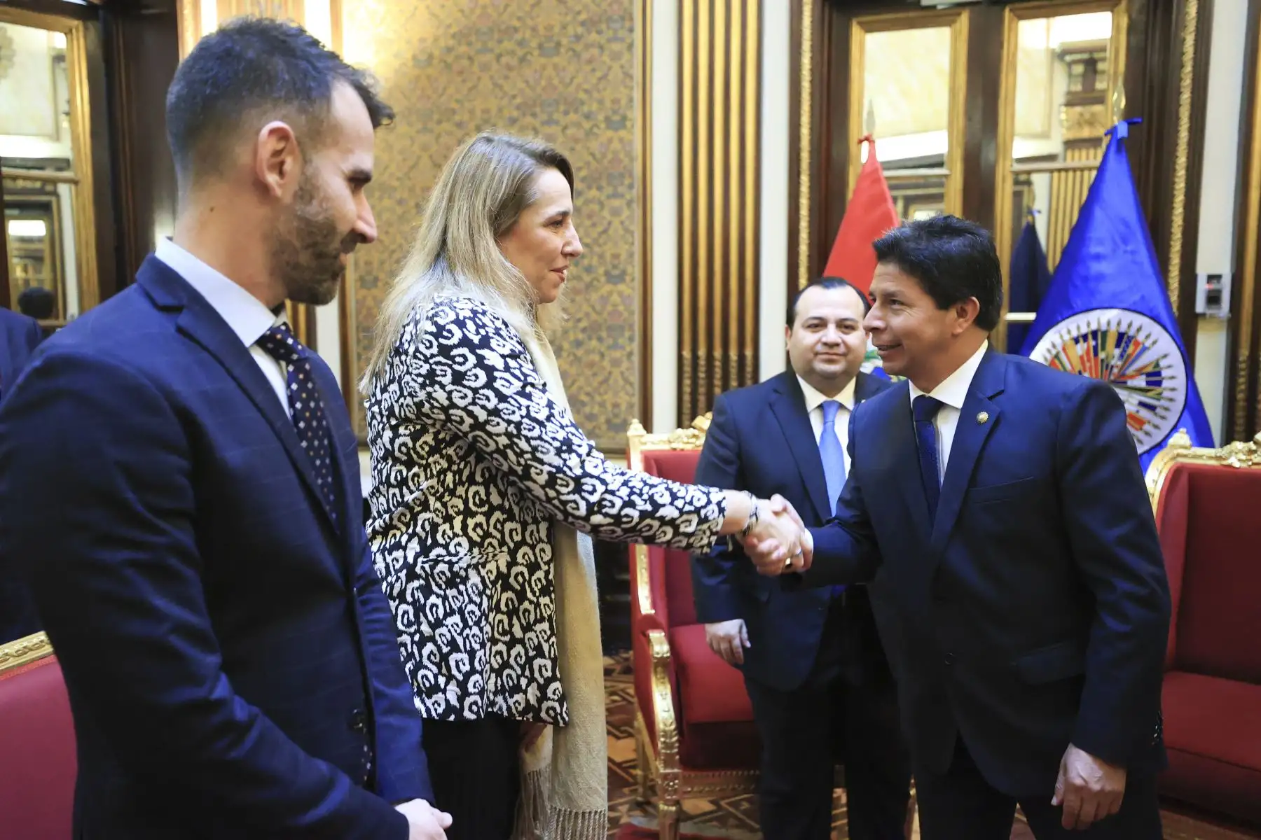 Presidente de la República, Pedro Castillo, sostiene audiencia con el vicepresidente de la Comisión Interamericana de Derechos Humanos (CIDH) y relator para Perú, Edgar Stuardo Ralon Orellana. Foto: ANDINA/ Prensa Presidencia