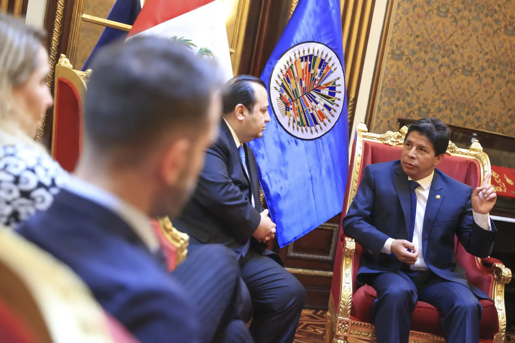 Presidente de la República, Pedro Castillo, sostiene audiencia con el vicepresidente de la Comisión Interamericana de Derechos Humanos (CIDH) y relator para Perú, Edgar Stuardo Ralon Orellana. Foto: ANDINA/ Prensa Presidencia