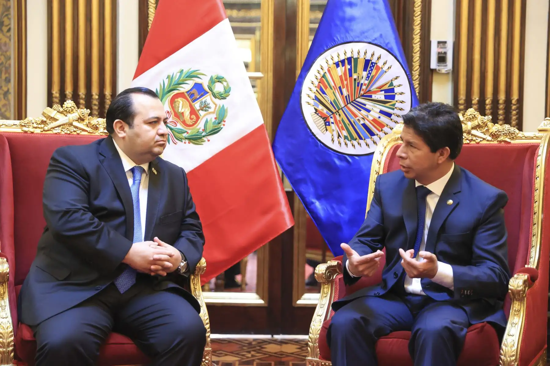 Presidente de la República, Pedro Castillo, sostiene audiencia con el vicepresidente de la Comisión Interamericana de Derechos Humanos (CIDH) y relator para Perú, Edgar Stuardo Ralon Orellana. Foto: ANDINA/ Prensa Presidencia