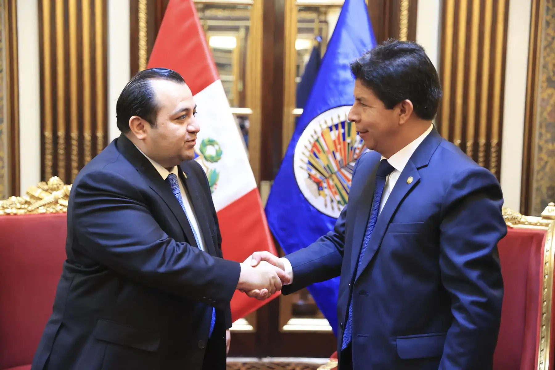 Presidente de la República, Pedro Castillo, sostiene audiencia con el vicepresidente de la Comisión Interamericana de Derechos Humanos (CIDH) y relator para Perú, Edgar Stuardo Ralon Orellana. Foto: ANDINA/ Prensa Presidencia