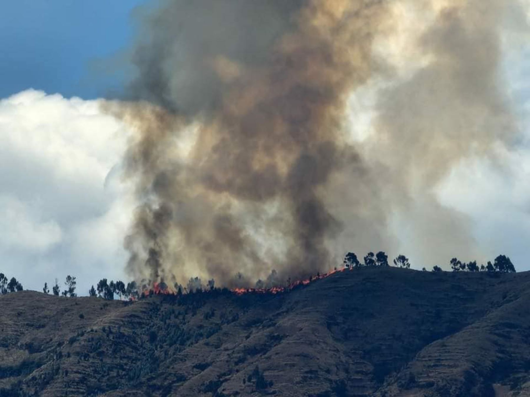 Cerca de 100 hectáreas de cobertura natural arrasó el incendio forestal que se desató en el distrito de San Sebastián, en Cusco. El fuego felizmente ya fue controlado.