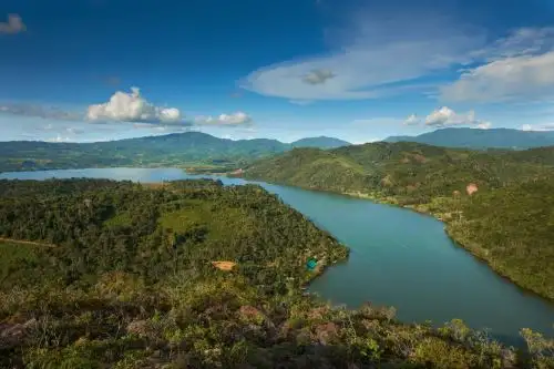 Conozca por qué es importante proteger los bosques y sepa más de los múltiples beneficios que brinda. ANDINA/Difusión