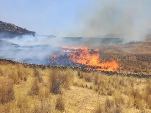 Cusco reporta cerca de 300 incendios forestales en lo que va del año y es una de las regiones más afectadas en Perú por este tipo de siniestros.