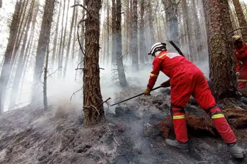 Brigadistas lograron sofocar diversos incendios forestales reportados en cuatro regiones del país. ANDINA/Difusión