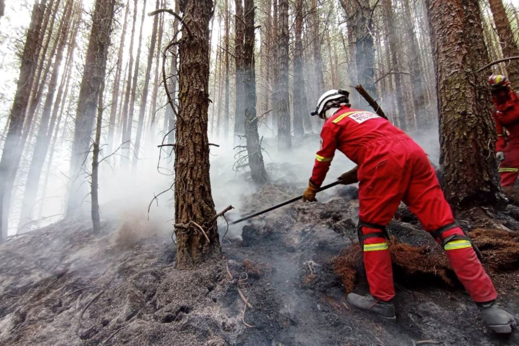 Brigadas extinguen seis incendios forestales reportados en cuatro regiones del país. ANDINA/Difusión