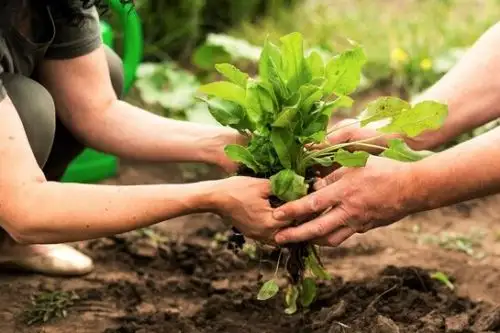 El Perú tiene una amplía riqueza natural afectada por la biopiratería. Foto: Cortesía.