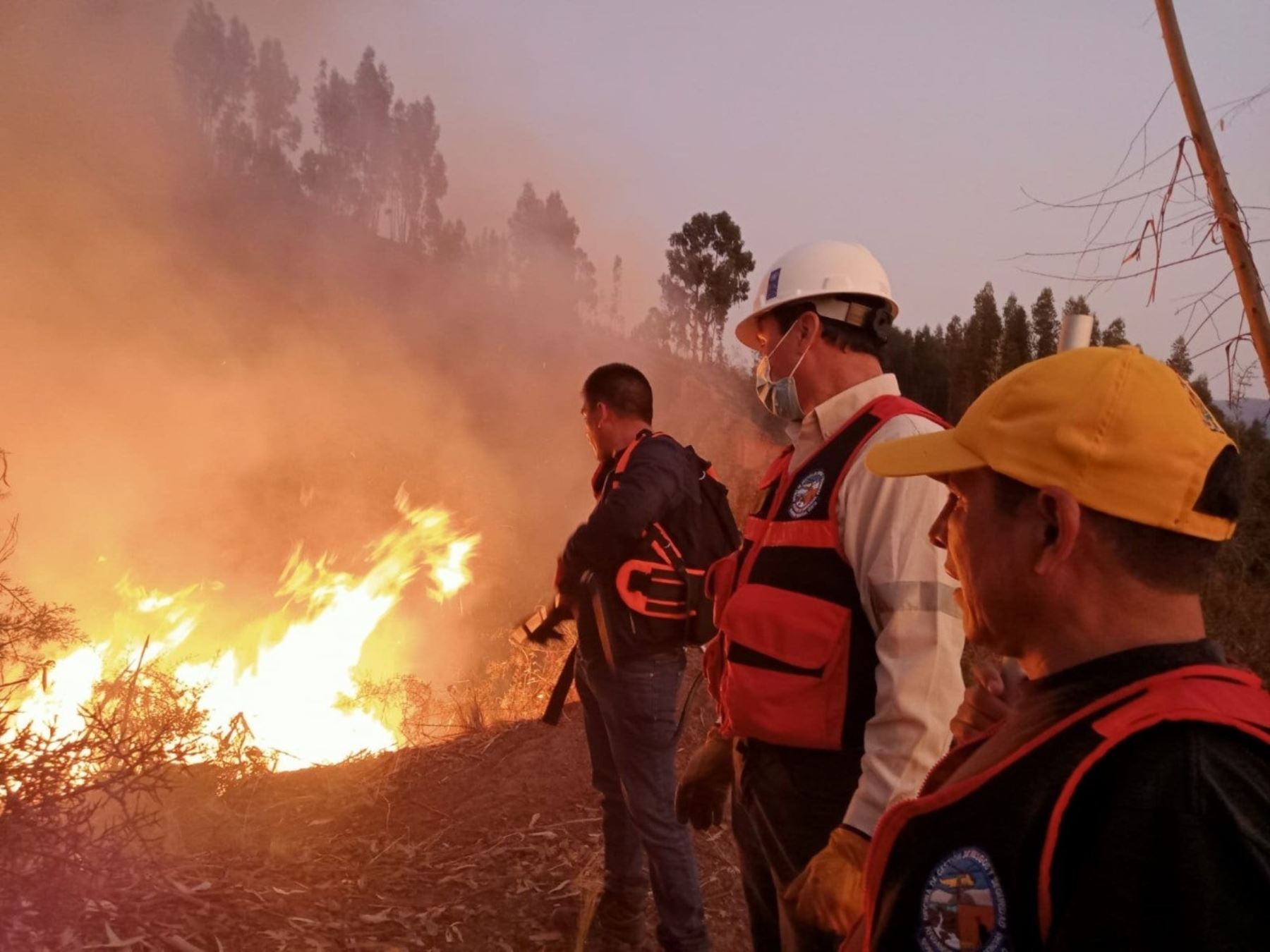 Región Cusco reporta 10 incendios forestales activos en las últimas 24 horas. Foto: ANDINA/difusión.