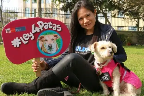 Crean comisión que elaborará reglamento de ley que prioriza la esterilización de animales. Foto: ANDINA/Difusión.
