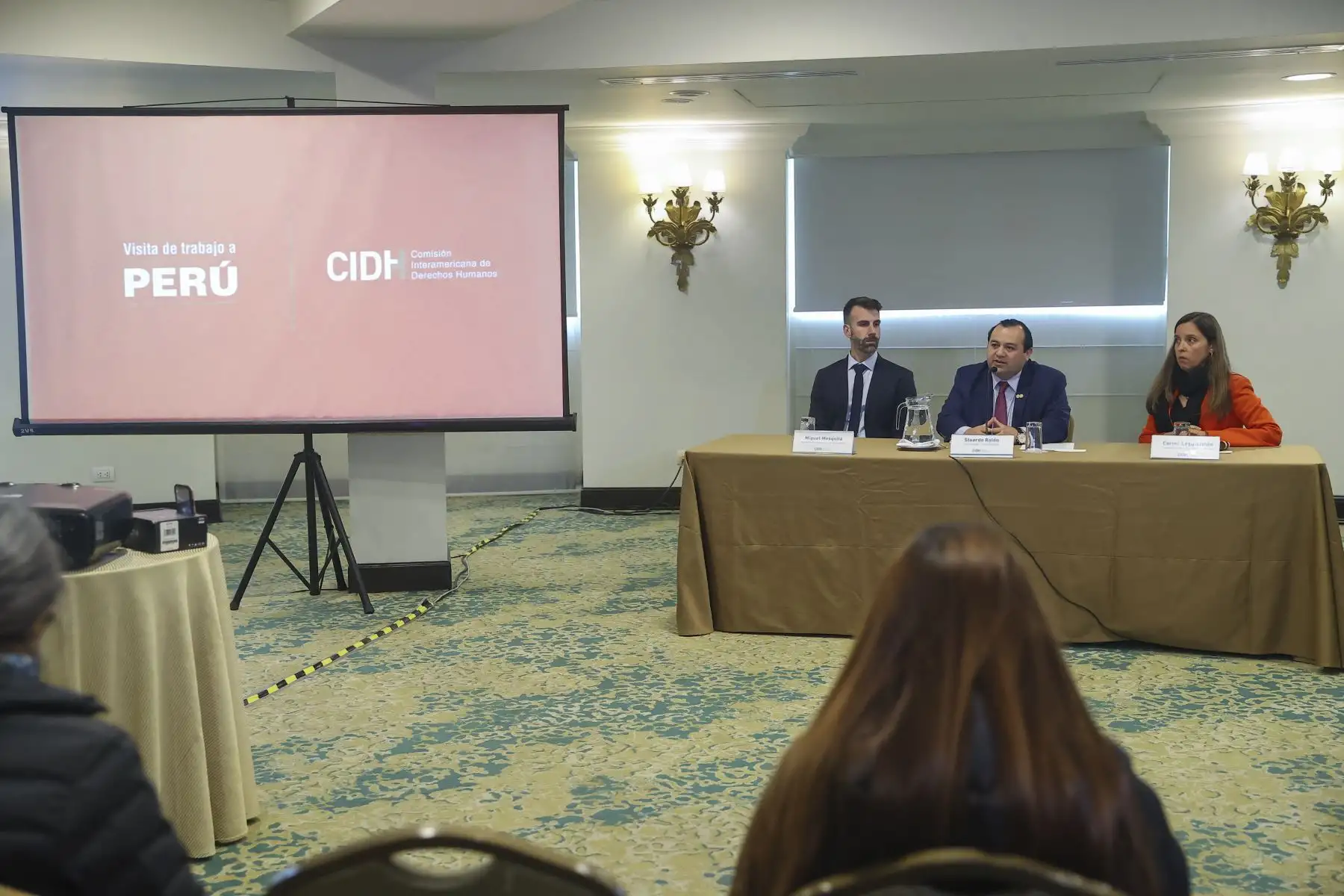 El comisionado Stuardo Ralón, vicepresidente de la Comisión Interamericana de Derechos Humanos (CIDH), presentó en conferencia de prensa las conclusiones de la visita de trabajo realizada en el Perú para observar la situación de la institucionalidad democrática y de los derechos económicos, sociales y culturales, particularmente en torno a los derrames de petróleo.

Foto:ANDINA/Andrés Valle