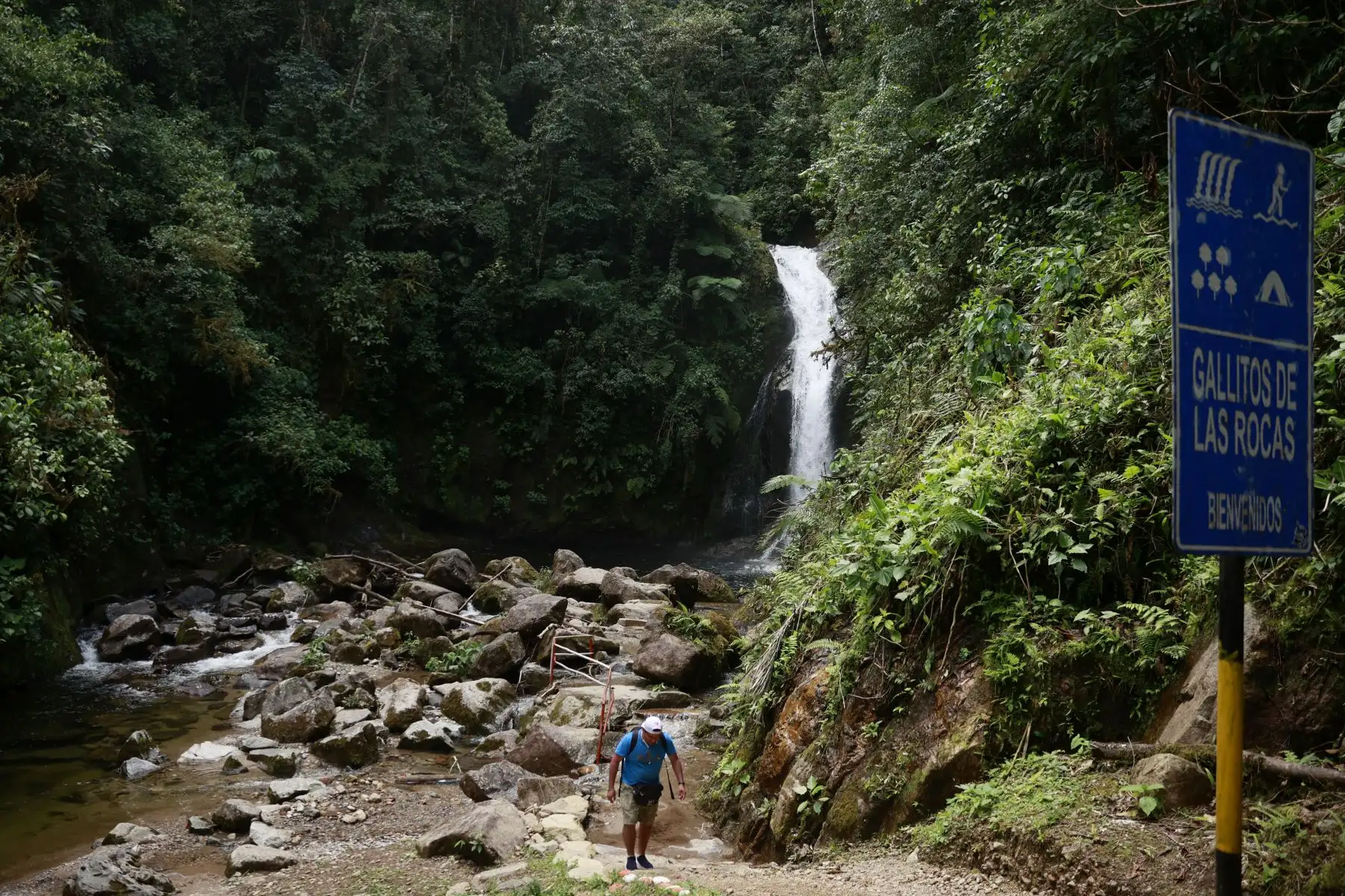 Catarata Gallito de las Rocas, ubicada en el pueblo de San Antonio, en el distrito de Pampa Hermosa. Foto: ANDINA/Melina Mejía