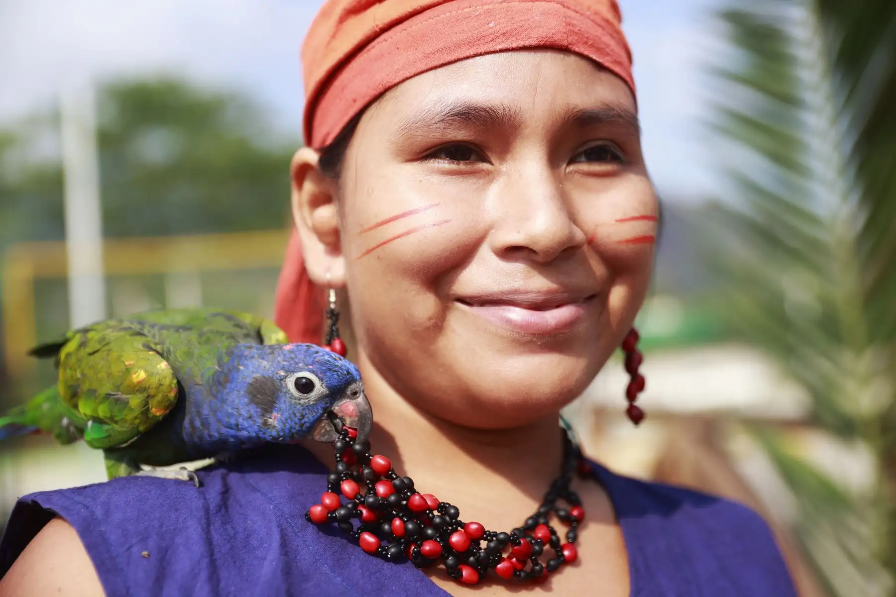 “Las mujeres de las comunidades son quienes más participan en este emprendimiento donde se difunde su cultura. Hacen comidas típicas, artesanía, tejidos, incluso ofrecen baños de sauna con plantas medicinales que solo crecen en sus tierras”. Foto:ANDINA/Melina Mejía