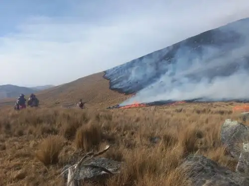 Foto: ANDINA/difusión.