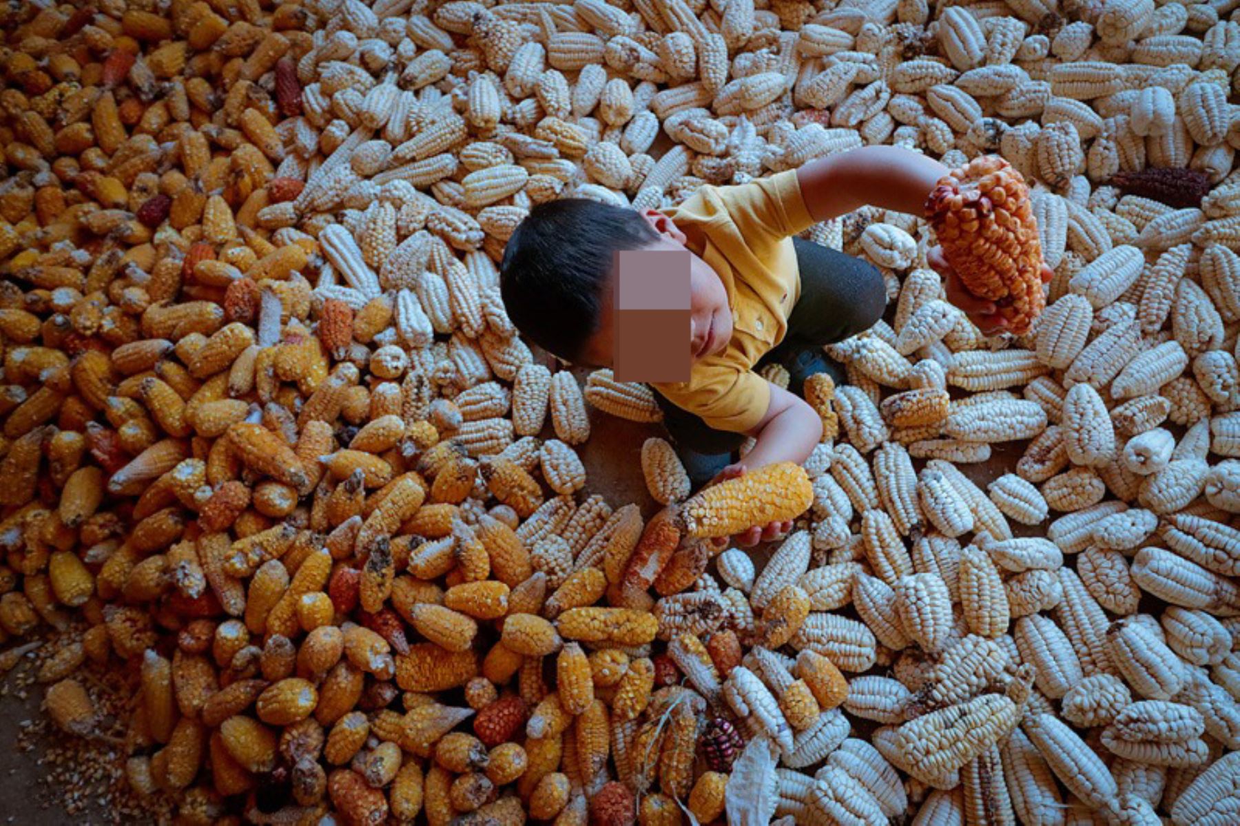 La acción por la seguridad alimentaria debe colocar el énfasis en niños y niñas. Fotos: Cortesía World Vision Perú.
