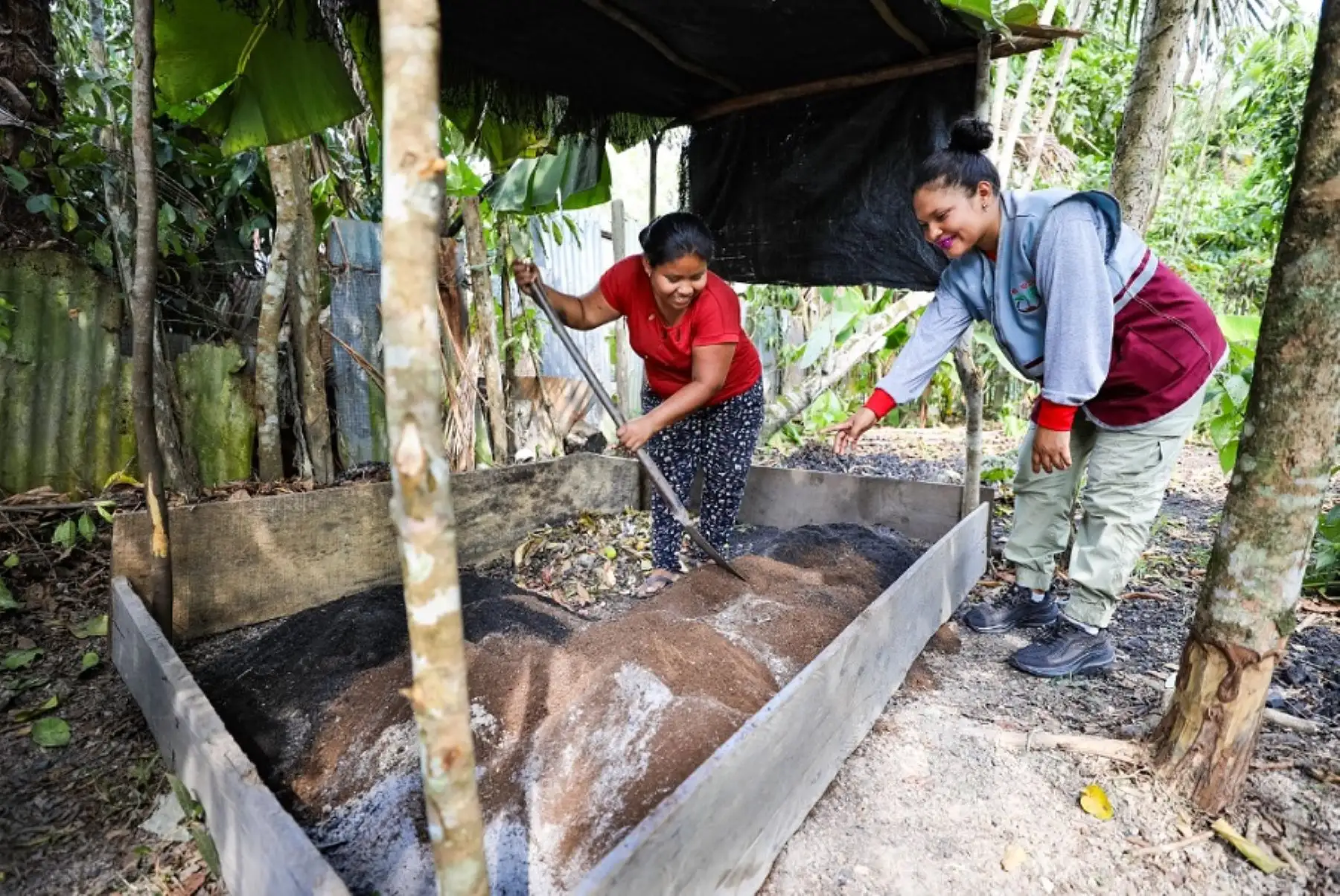 Marita Yahuarcani, usuaria del proyecto Noa Jayatai del programa Foncodes del Midis, vive en el poblado Manacamiri de la ciudad de Iquitos, en la provincia Maynas, región Loreto, y gracias a las enseñanzas que recibe de Cindy Panaifo, su yachachiq o maestra del campo, elabora compost, un fertilizante orgánico y natural que potencia y optimiza el crecimiento de sus verduras y hortalizas, productos que luego vende en su comunidad para alimentar a su familia.