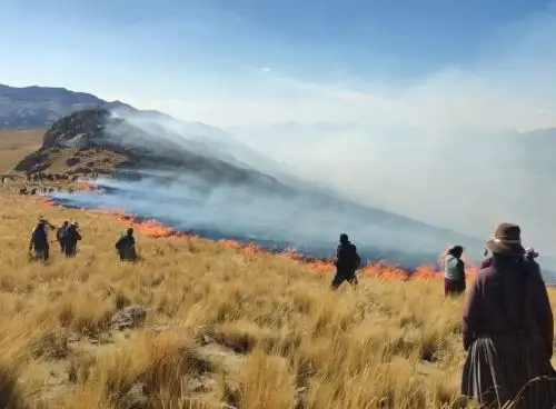 Al menos 20 vicuñas han muerto a causa del incendio forestal que se registra desde hace una semana en la Reserva de Pumahuasi, ubicada en la provincia de Acomayo, región Cusco. ANDINA/Difusión