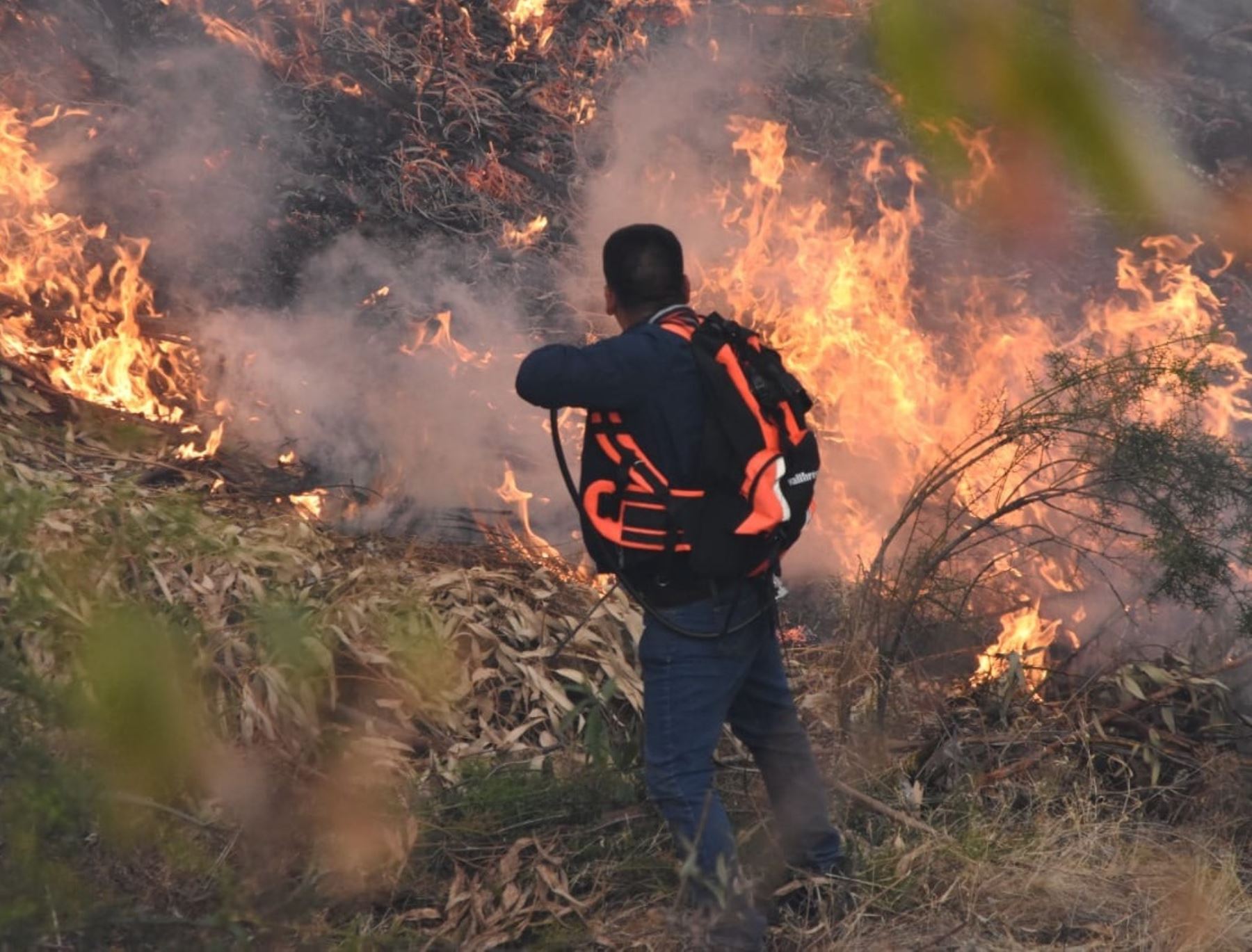 Cusco pide al Ejecutivo que se declare en emergencia agropecuaria a dicha región afectada por los constantes incendios forestales. Foto: ANDINA/difusión.