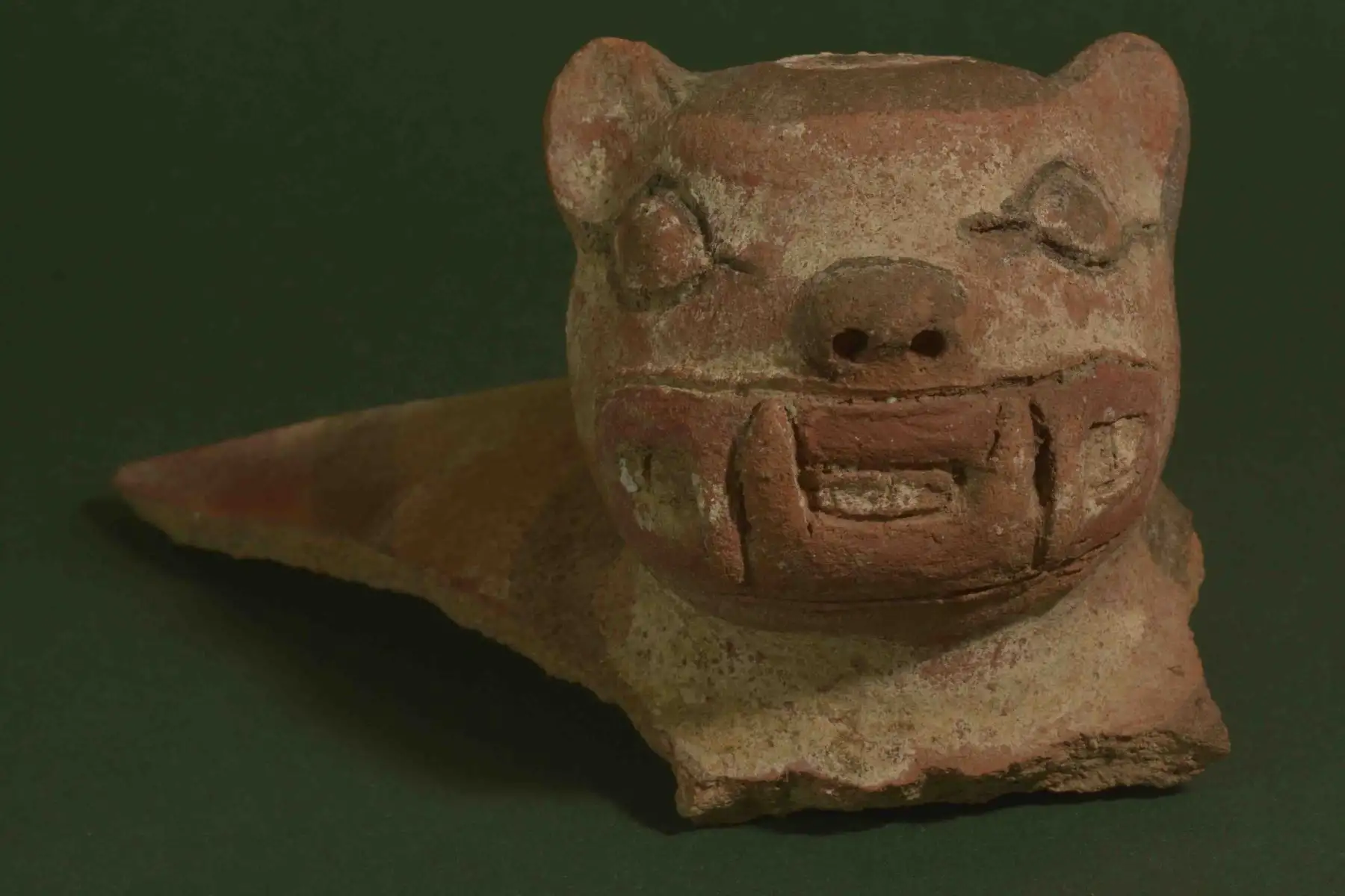 Pieza de cerámica que representa la cabeza de un jaguar u otorongo, animal amazónico considerado sagrado en las culturas preincas, que estaba boca abajo y al costado de un “ritual de culto al fuego” o gran quema que constituye un evento posterior en el periodo Formativo Temprano Foto: Asociación para la Investigación Científica de la Amazonía