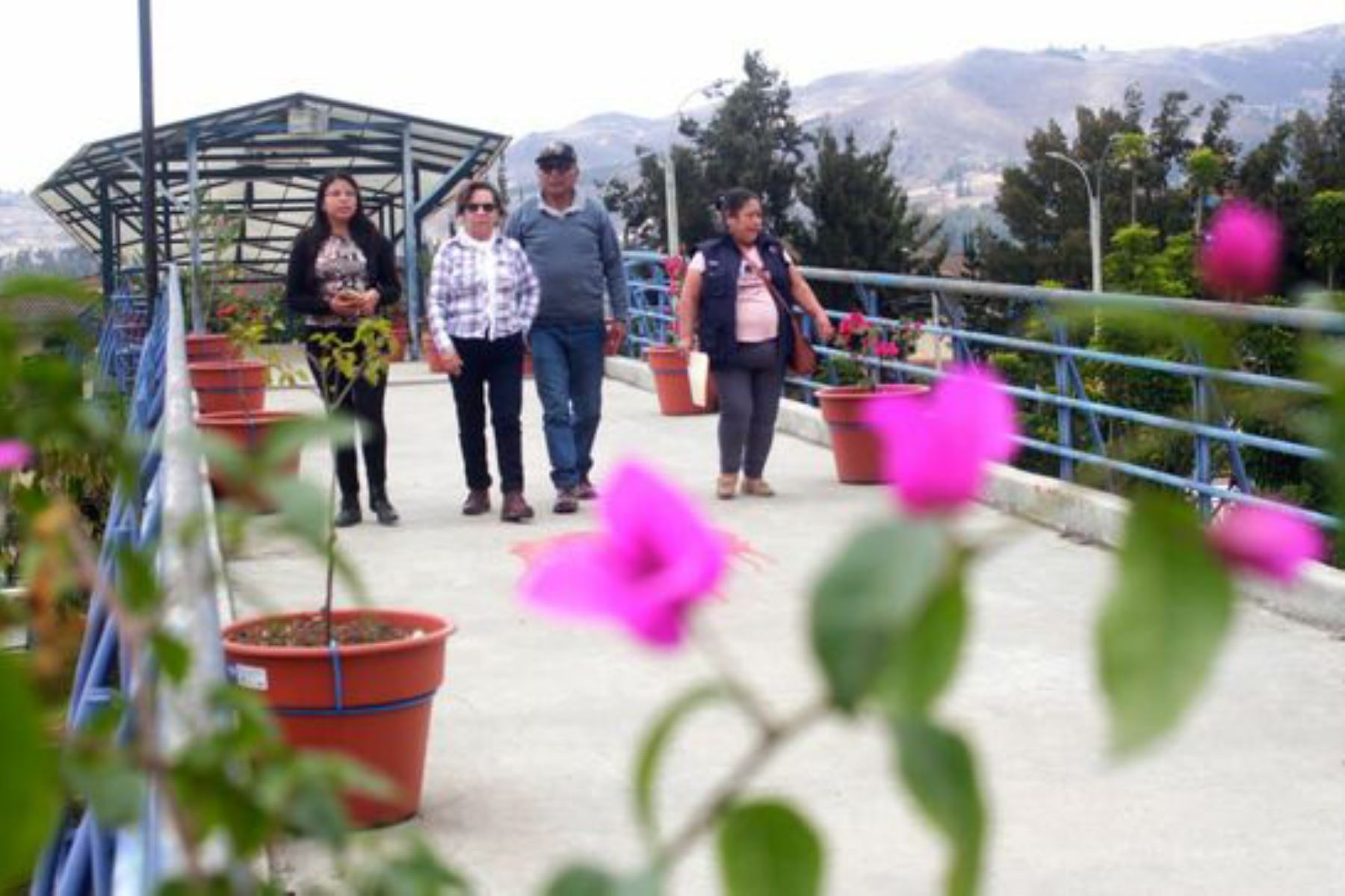 La municipalidad provincial de Cajamarca colocó más de 100 maceteros ecológicos en todo el corredor aéreo, para mostrar un entorno paisajístico natural.
