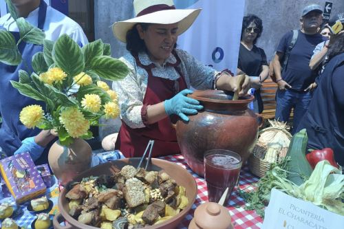 La explanada Magnopata, ubicada en el distrito de Yanahuara (Arequipa), será escenario del festival gastronómico Festisabores. Foto: ANDINA/difusión.