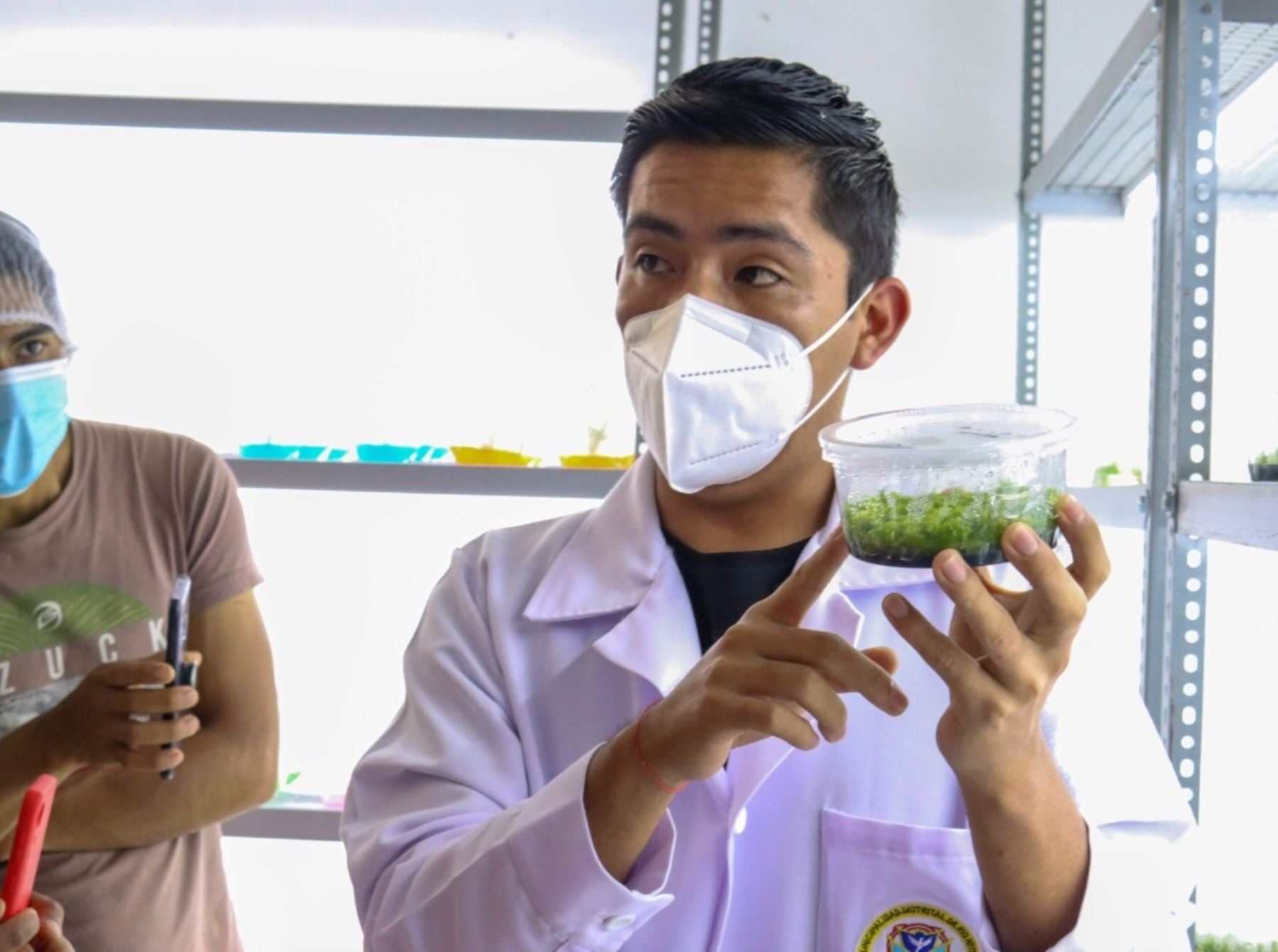 Laboratorio municipal del distrito de Río Negro, ubicado en la provincia de Satipo, logró reproducir hijuelos de pitahaya, una cotizada fruta que se cultiva en esa zona.