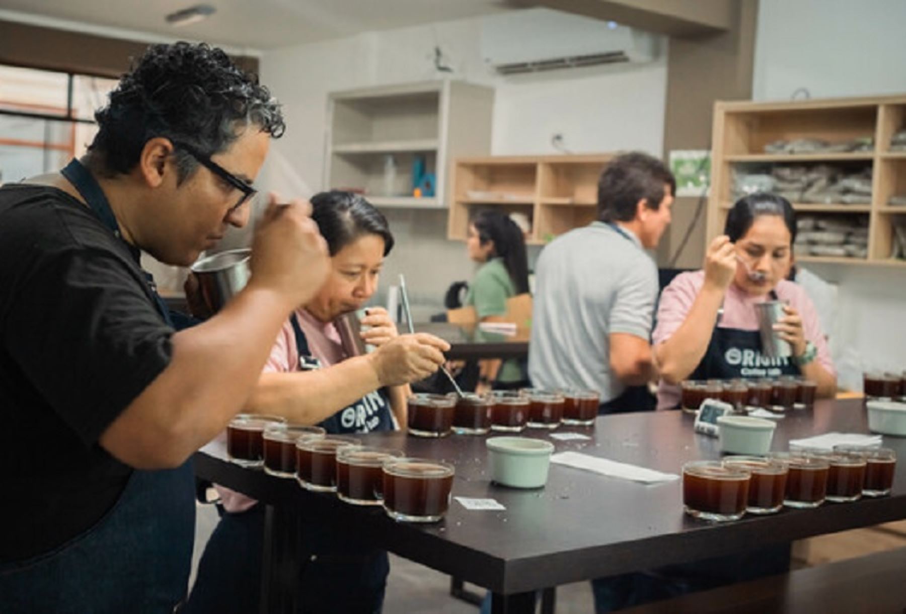 De manera exitosa se desarrolla la catación de los 94 microlotes de café, que fueron presentados por productores de las provincias de Cutervo, San Ignacio y Jaén, en el marco de la “Expocafé Cajamarca 2022”.