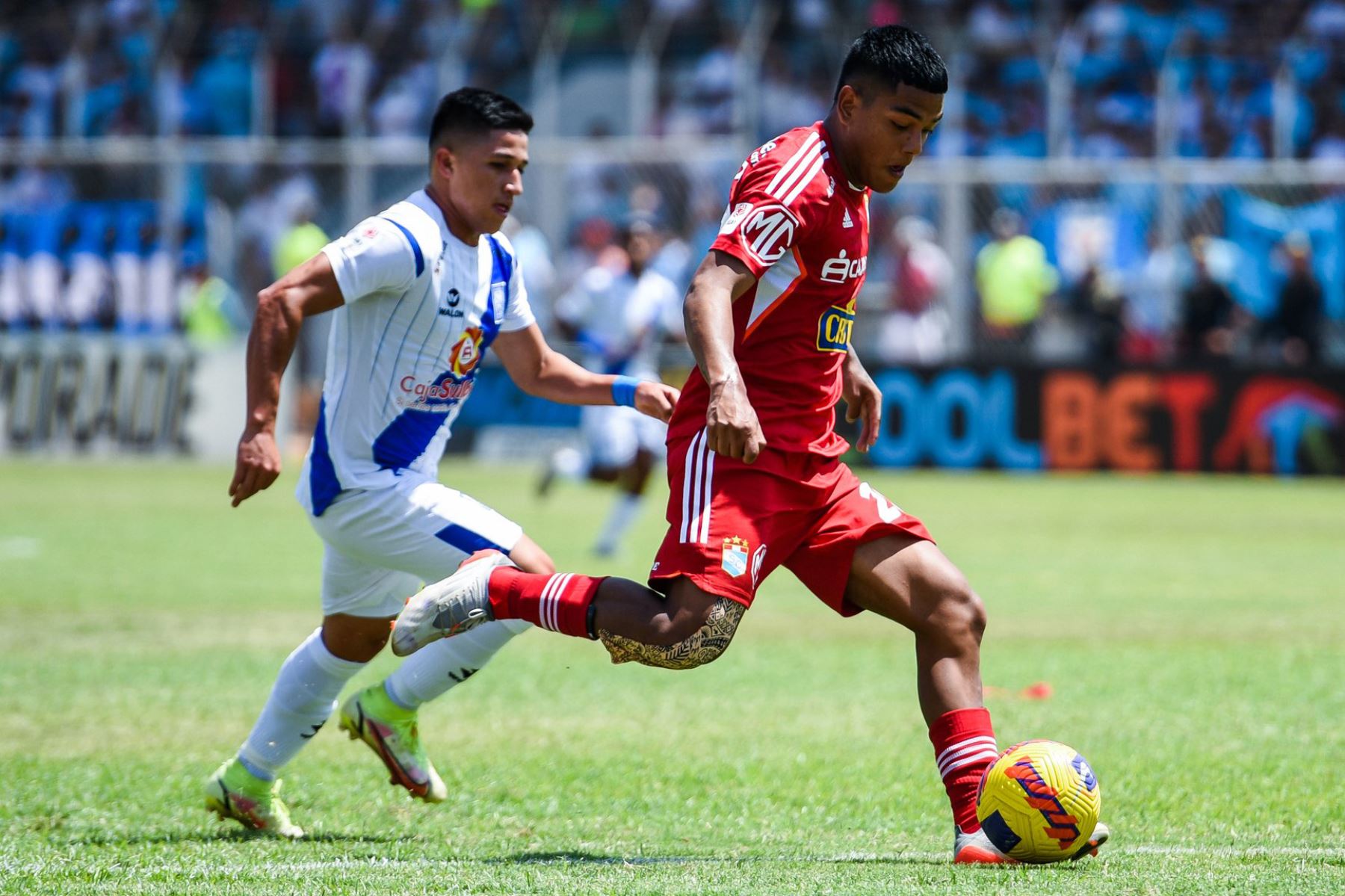 Sporting Cristal vence 1 a 0 al Alianza Atlético
 

Foto: ANDINA/Difusión