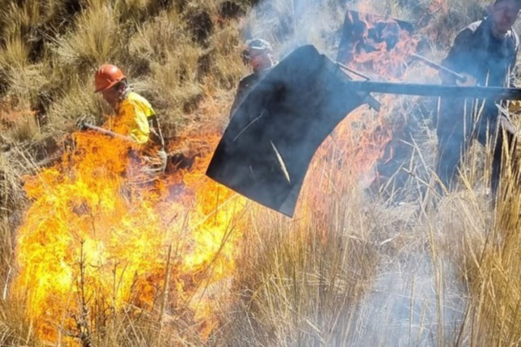 El Sernanp dictó el curso de bombero forestal en la reserva paisajística Nor Yauyos Cochas.