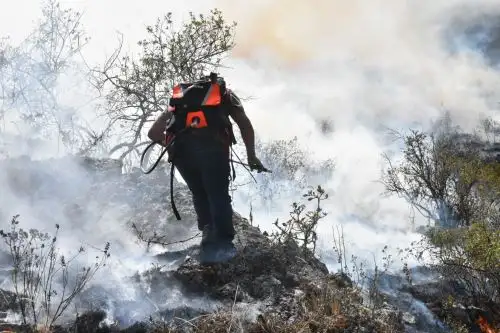 El 5 de noviembre empezó un incendio forestal en la localidad de San Juan de Patará del distrito de Huamanquiquia, región Ayacucho. Foto: ANDINA/Archivo